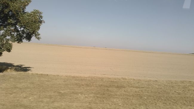 ポーランドは平らな土地という意味で、平原が続きます。