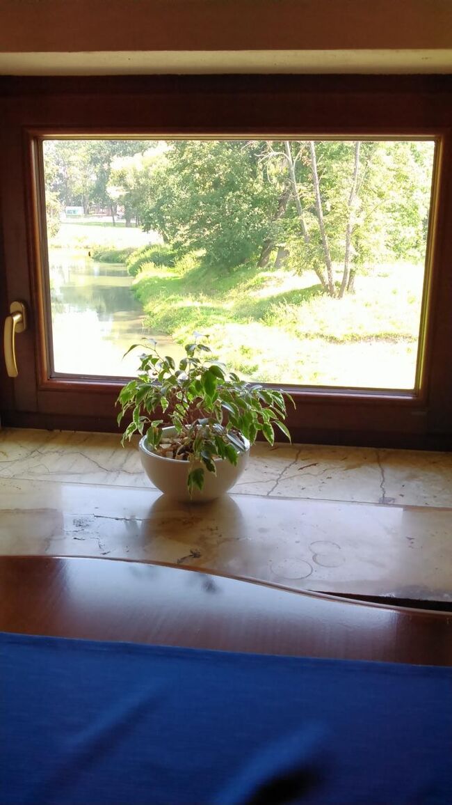 　店内<br />外を見ると１枚の絵画のよう。