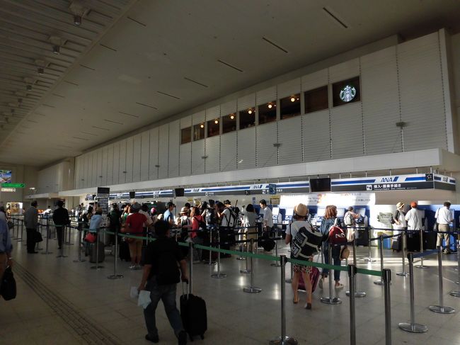 おぉ、羽田に比べるとコンパクトですね。。。<br /><br />ここには写っておりませんが、<br />写真の右側が国際線チェックインコーナーがありました。<br /><br />恐ろしいほど並んでいました。<br />それを見ると、<br />優先チェックインできる上級会員は便利ですね。<br />（優先チェックイン側もたくさん並んでいましたが、一般に比べたら短い列です。）