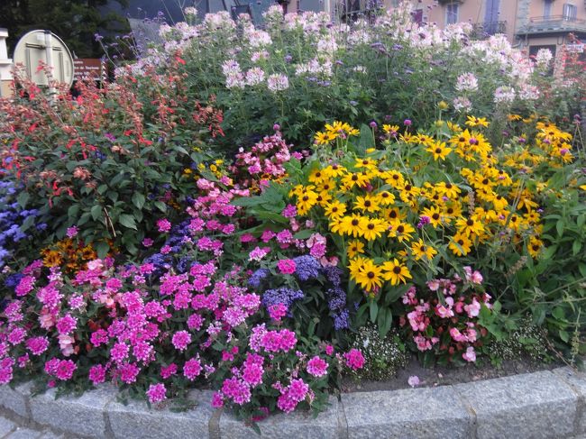 駅のロータリーの花壇。