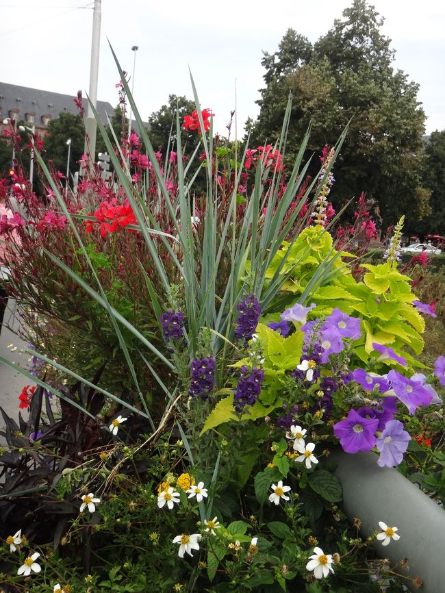 ここからはフランス、アルザス地方の街ストラスブール。橋のたもとの寄せ植え。