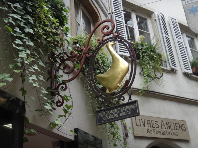 その代り、大聖堂の周りをお散歩。こんな看板や、