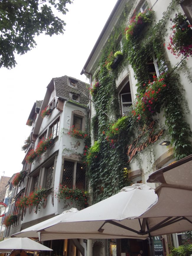 蔦や植物で覆われた壁面が素敵なお店もありました。