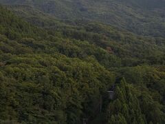 榛名山麓の深い緑。