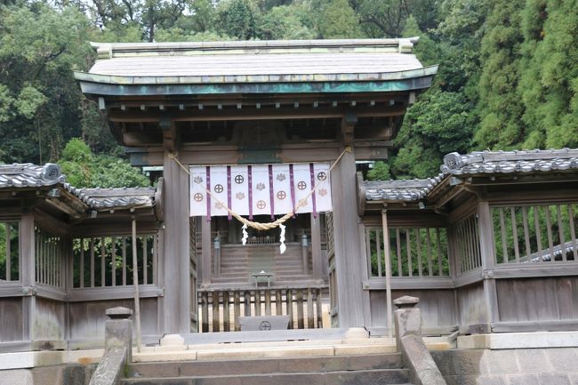 鶴嶺神社<br /><br />駆け足で廻ったあとはタクシーで空港行のバスが出る「天文館」へ。<br />次はぜひ市内で鹿児島グルメを楽しみたい。