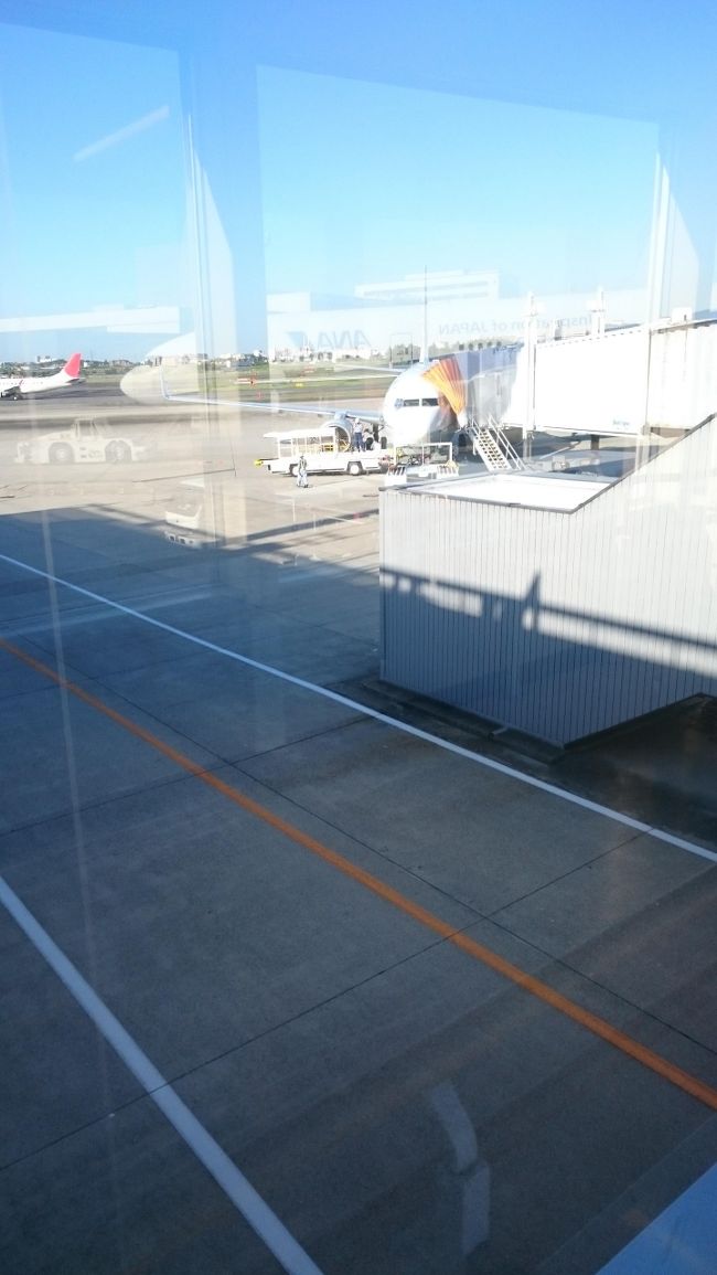 搭乗前にSFC修行を込めてパチリ。<br /><br /><br /><br />さあ！いざ！<br /><br />スーパーフライヤーズにむけて！<br /><br />がんばるぞ！<br /><br /><br />NH761　　伊丹ー那覇　　7:30−9:35<br /><br />