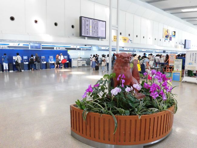 1往復目の沖縄は約1時間しかありませんので、すぐに発券機で搭乗券をもらい、制限区域へ向かいます。<br /><br /><br />本来なら、空港食堂にも寄りたいところですが、<br />プレムアムクラスの搭乗ですので、ごはんを食べる必要がありません。<br /><br />食費をある意味抑えられますが、<br />これでは沖縄に来ている意味あるのか？と自問自答してしまいそうです。