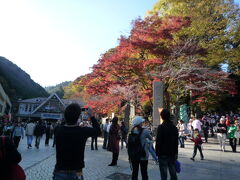 高尾山の紅葉

清滝駅