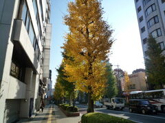 秋を探す八王子散策 2009/11/21

市内を散策、甲州街道に出るとイチョウが黄色づいていました