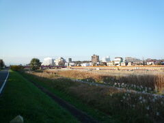 秋を探す八王子散策：小宮公園 2009/11/23

浅川土手にはススキが