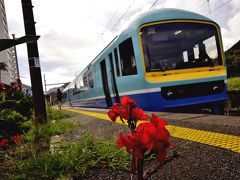 15:35 485系「ニューなのはな」ラストラン「快速リゾートあわトレイン」は江見駅に到着
南房総は花の産地でもあり、JR内房線沿線には早春から色とりどりの花が咲き誇る風景が広がることでも有名ですよねｗ