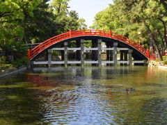 「住吉鳥居前」で降りると目の前が「大社」でした。

住吉大社は、全国に約2300社ある住吉神社の総本社。
式内社（名神大社）、摂津国一の宮。住吉大社の祭神は、底筒之男・中筒之男・表筒之男の三神と、神功皇后 (じんぐうこうごう)の四柱。
三神は、イザナギの命が、亡くなった妻、イザナミの命を死者の国（黄泉の国）に連れ戻しに行ったが、願いを果たせぬまま逃げ帰ってきて、黄泉の国の穢れを清めるために海で禊祓いをした際に、生まれた神。
禊祓い（みそぎはらい）、航海安全、和歌、農耕の神。

赤い太鼓橋の所に水鳥の姿が