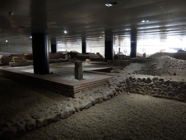 随分と大胆な保護の仕方ですね。。