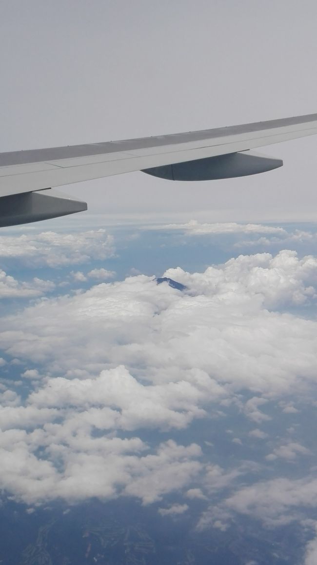今回ははっきり富士山が見えませんでした。