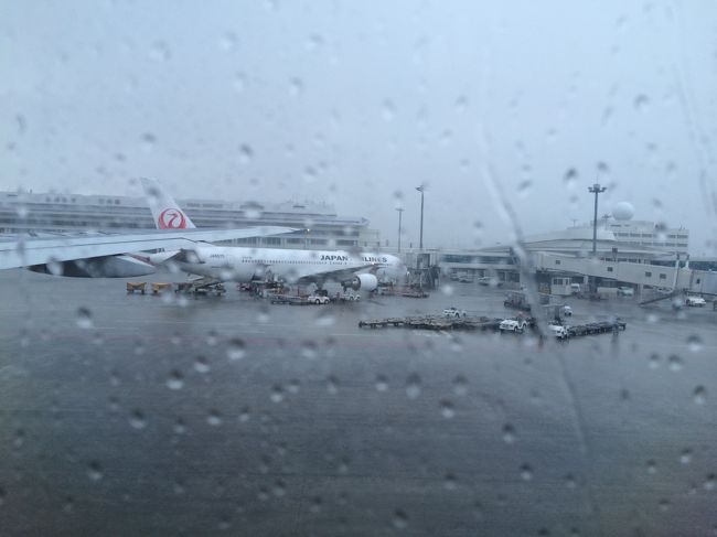 那覇に到着すると、スコールでした。<br />我が家は乗り換えなので気にしませんが、那覇着の方は、さぞかしガッカリだったでしょうね。<br />しばらく降ってましたもん。
