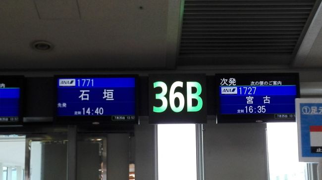 今年は石垣島ですから、間違えないように。<br />時間はまだ少しあるので、トイレとおやつタイムへ。