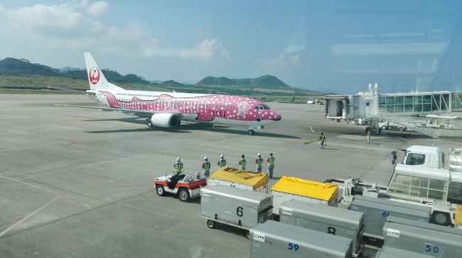 石垣空港に到着すると、さくらジンベエが。<br />いつもANAなので、新鮮です。