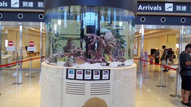 娘も水槽に見入っています。<br />