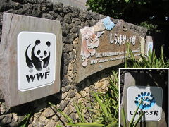 翌日も快晴。
まずは「しらほサンゴ村」へ。
西表に行くと野生生物保護センターに行きたくなる、これと同じで石垣に来たら、、、