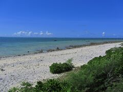 前に広がるしらほの海。
アオサンゴの大事な群生地だ。

サンゴ村、展示はなんとなく肩透かしの印象だったが、相変わらず野外活動は活発で、むしろ「体験型」「参加型」の施設と言えるのかも。