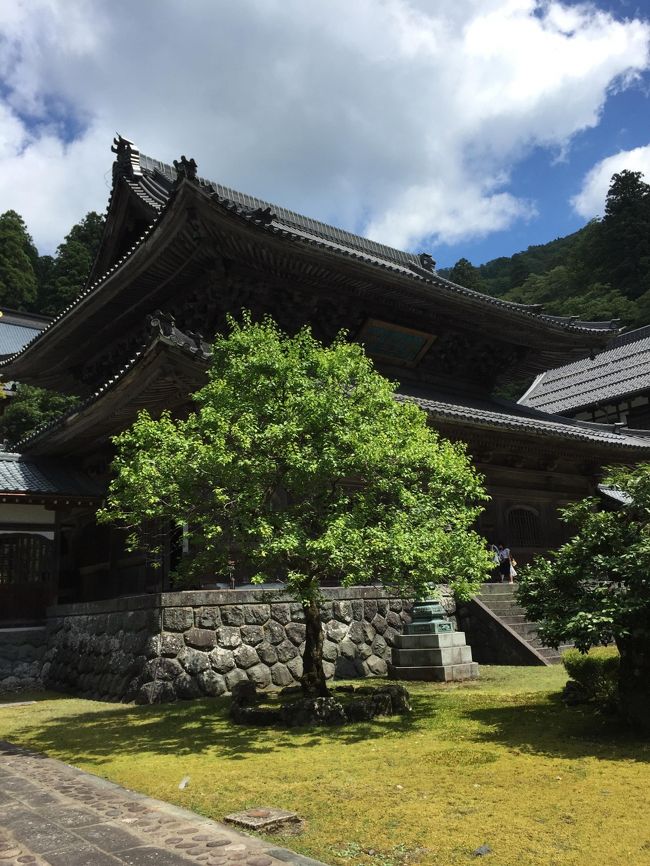 たくさんの観光客がきて、流れ作業的に見学。<br />廊下がきれいに磨き上げられていました。