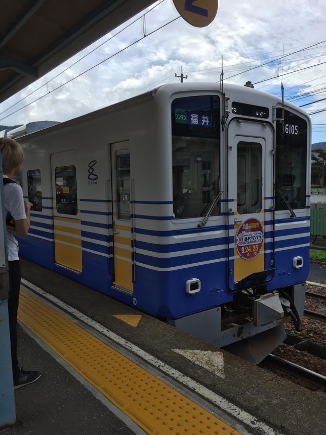 永平寺の見学が１時間くらいで終わったので、お昼はおそばとごま豆腐を食べて、恐竜博物館にも行ってみることに。