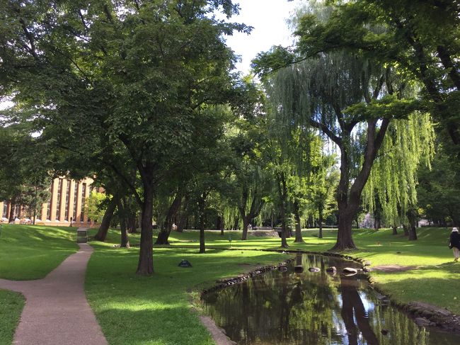 お散歩がてら、北海道大学に行ってみました。海外のキャンパスみたいに広々。