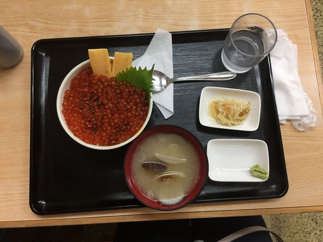 朝早すぎるからどこも開いてないし、小樽駅前の三角市場は８時からだし・・とがっかりしてると、三角市場出口の丸味食堂が開いている！<br /><br />もちろん注文はいくら丼。１２００円。