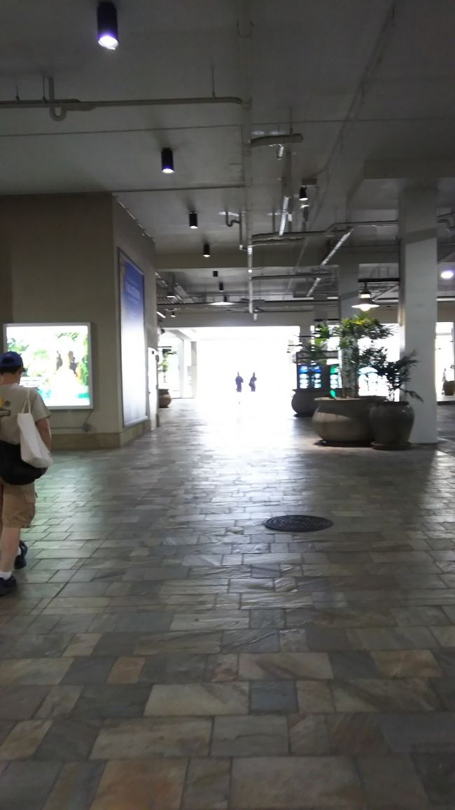 アラモアナSC内駐車場を通過します。