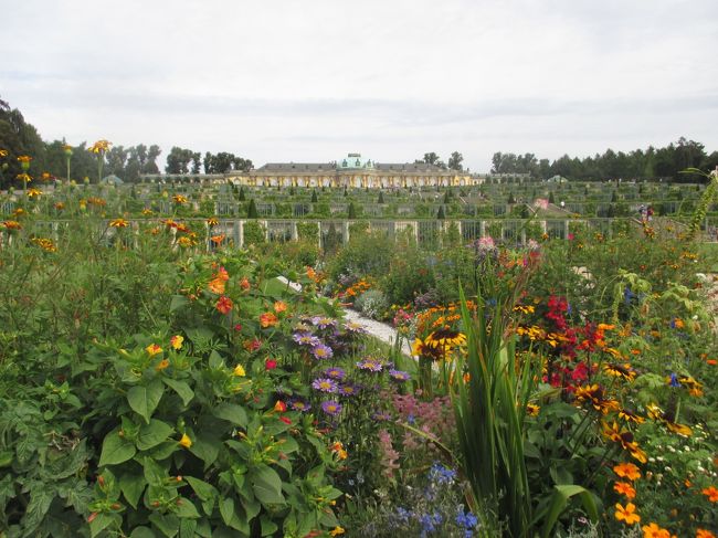 Schloss Sanssouci<br /><br />庭園から見上げた姿が綺麗な宮殿