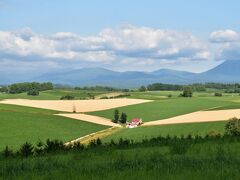 美瑛の丘めぐりではどこを見ても雄大な景色が広がっています