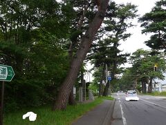 松並木が並ぶ赤松街道。この時点で空は白色。今日もダメか・・・。
最初の目的地は城岱牧場。2年前にも来ているが、写真の撮影モードを誤り、色味の変な写真しか残っていないので晴天下での撮り直しを期待していたのだが・・・。