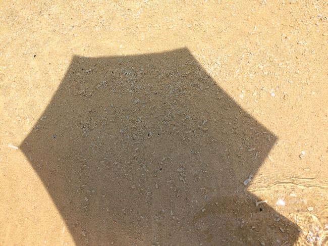 はい、私は毎度のごとく砂浜にて観賞しております。