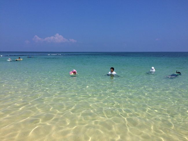 休憩を取りつつ、一時間ほど遊んだので、そろそろお昼だから退散しましょうよ〜と叫びたい母でした。