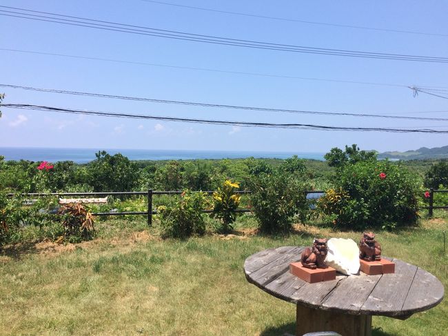 食べ終わって、お庭に行ってみると、またまた美しい景色が待っていてくれました。