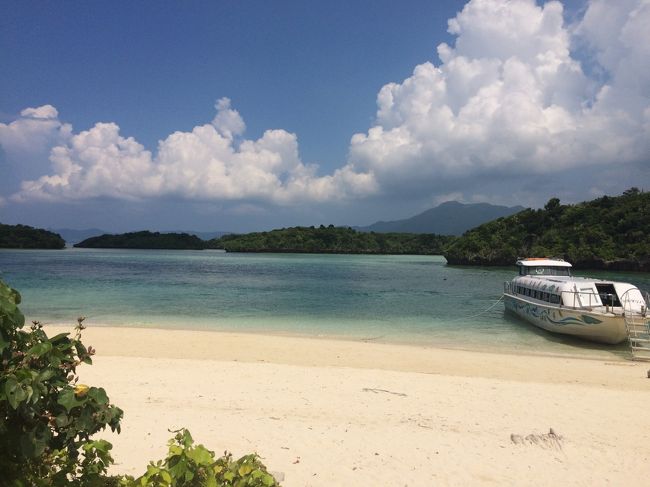 娘が乗りたいと言うので、グラスボートに乗ります。<br />去年、池間島でも乗ったから特に乗らなくてもいいかな〜と思っていたのですが、なんと、ウミガメさんに会う事が出来たので、本当にラッキーでした。<br />主人と娘は、見られなかったみたいですけど。