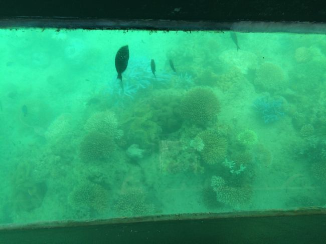 こんな感じで見えてきました。