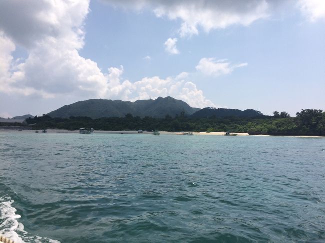 たくさんグラスボートが停泊しています。