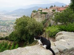 アギオス ステファノス修道院を見学することになりました。ギリシャは、いたるところに猫がいます。