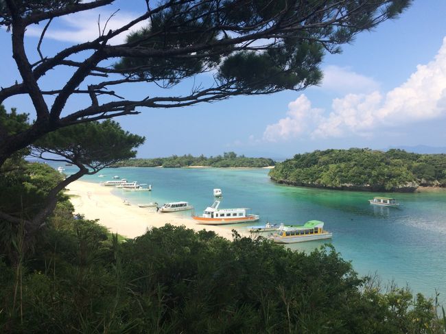 展望台にやってきました。<br />これこれ、この景色ですよね。<br />美しいなぁ。