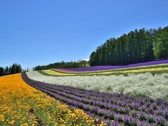 絵葉書のような景色をこの年も見ることが出来ました！