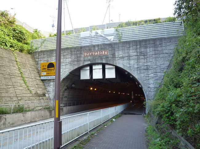 道の駅八王子滝山で地元の野菜を買いました・浅川土手の彼岸花ほか 2010/09/24-10/07