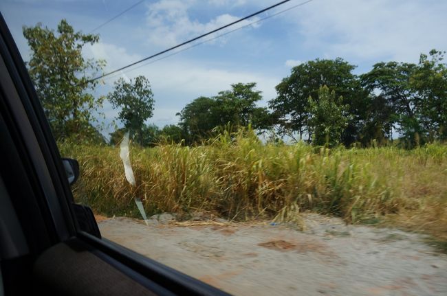 石窟寺院を出て、途中ダンブッラでスーパーに寄ってもらい、ジェットウィングヴィルウヤナホテルに。<br />幹線道路から1歩入り車一台しか通れないようなこんな道をずんずんと進みます。