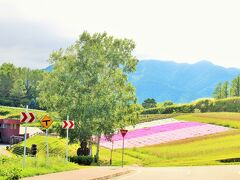 ピンク色の綺麗さに目を止めるが･････
今は、ビール派なのでワインはいいや。←はまり症。