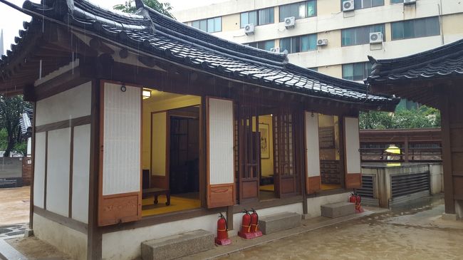 大邱ー福岡直行便 新規就航記念チケットで大邱へ 大邱 韓国 の旅行記 ブログ By 仔猫ミーコさん フォートラベル
