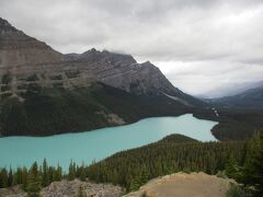 Peyto Lake