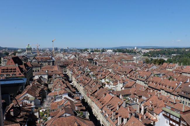 ここからの景色でも十分でしたが。