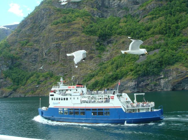 この船は私達とは反対にフロムに向かってます。<br />かもめは相変わらず人気者。