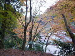高尾山の風景

紅葉