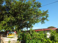 今回も「民宿あ〜ちゃん」
昨年とても居心地がよかったので、またお世話になることにしました。